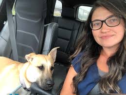 Twisted Tea Variety Party Pack, Hard Iced Tea