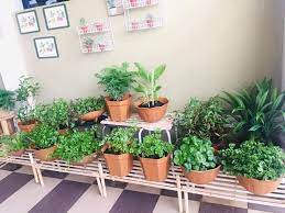 Sebab itu saya lebih sarankan guna sahaja tong siram. Siapa Kata Duduk Di Bandar Tak Boleh Bercucuk Tanam Cantik Dan Kemas Pokok Dalam Pasu Semua Berguna Untuk Masakan Keluarga Tanaman Kebun Masakan