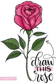 There is so much variety in this set. Drawings Of Roses How To Draw A Rose Step By Step Tutorial 3 Ways