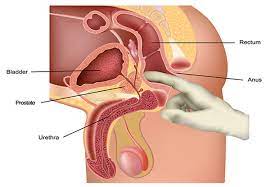 Because the prostate produces part of the fluid that exits a man's body when he ejaculates, it can be massaged to produce and orgasmic effect. Prostate Massage Jidapha Spa