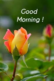 Beautiful Good Morning In 2020 Good Morning Beautiful Good Morning Beautiful Quotes Good Morning Images
