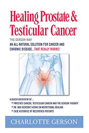 Widely indexed · peer reviewed research · international recognition Healing Prostate Testicular Cancer The Gerson Way English Edition Ebook Gerson Charlotte Amazon De Kindle Shop