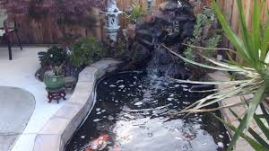 3000 gallon koi pond and 300 gallon stock … перевести эту страницу. 1000 Gallon Koi Pond