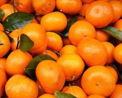 Imagen de Mandarinas