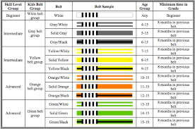 North American Brazilian Jiu Jitsu Federation Belt System