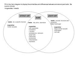 Students select, drag, and drop labels of cell organelles A Eukaryotic Cell Model Ppt Download