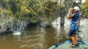 The Wrong And Right Way To Set The Hook Flipping And Pitching Bass Fishing Tips Bass Fishing Fishing Uk