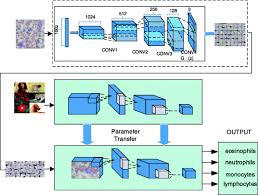 Dr gan eng cern is a fellowship trained consultant ear, nose & throat (ent) surgeon. Combining Dc Gan With Resnet For Blood Cell Image Classification Springerlink