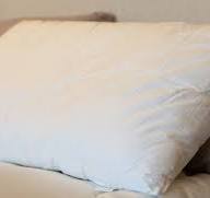 Silk Filled Pillow