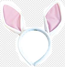 Choose from 20000+ dummy model ear graphic resources and download in the form of png, eps, ai or psd. Rabbit Ears Bunny Ears Hd Png Download 347x359 5485445 Png Image Pngjoy