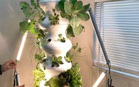 Check spelling or type a new query. Lettuce Grow Farmstand