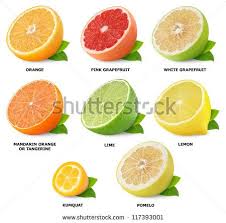Stock Photo Collection Of Citrus Fruits Isolated On White 117393001 Jpg 450 443 Citrus Fruit List Fruit List Citrus Fruit