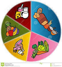 Healthy Food Plate Chart Stock Vector Illustration Of Guide
