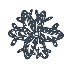 Vector colorful floral pattern buttons icon collection. Scandinavian Handdraw Snowflakes Sign Winter Design Element Vector Illustration Black Snowflake Icon Isolated On White Background Snow Flake Silhouettes Symbol Of Snow Holiday Cold Weather Frost Download Free Vectors Clipart Graphics