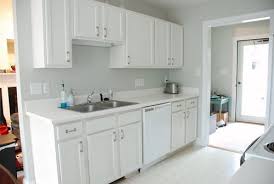 How To Paint Kitchen Cabinets Painting Kitchen Cabinets Kitchen Cabinets Cabinet
