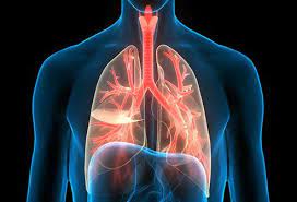 Chronic Bronchitis: Treatment, Diagnosis, Symptoms, Causes
