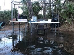 Kiawah Island Banding Station Mega High Tide