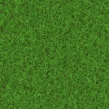 We did not find results for: Green Grass Texture Seamless Stock Photo Picture And Royalty Free Image Image 54394720