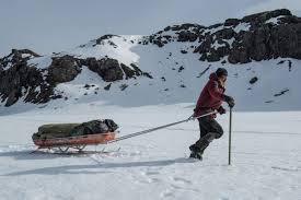 Затерянные во льдах / arctic (2018) hdrip от scarabey | лицензия. Film Review Arctic 2018 Jordan And Eddie The Movie Guys
