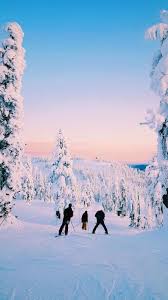 Zandeedrew In 2020 Winter Pictures Travel Aesthetic Ski Pictures