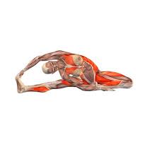 Find tips, benefits, modifications, prep poses and related exercises. Browser Not Supported Yoga Anatomy Yoga Muscles Yoga Poses