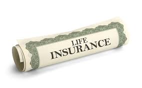 Check spelling or type a new query. Participating Life Insurance Everything You Must Know