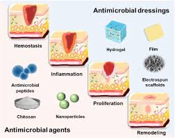 Image result for Antimicrobial Agent