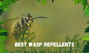 Electronic insect repellents are small ultrasonic devices that emit high frequency sound waves, the purpose of which is to repel or scare away insects. The Best Wasp Repellents For 2020 7 Top Picks