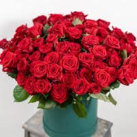 Maybe you would like to learn more about one of these? Happy Birthday Flowers Bouquet Happy Birthday Roses Birthday Flowers Online Delivery Bloomsvilla