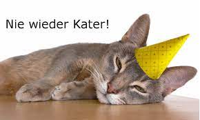 Nie Mehr Kater Comm