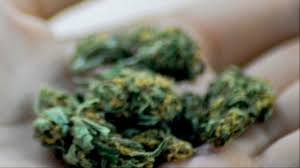 You can even rub it on your sore muscles and still get the same effect as pot, only much stronger. We Talked To A Doctor Who Treats Cannabis Use Disorder