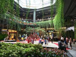 Outdoor Zone In Central Eastville Caloundra Shopping Center Outdoor