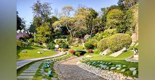 Japanese Gardens In Jubilee Hills Lbb Hyderabad
