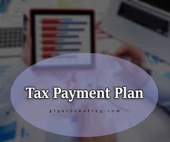 If You Owe Money To The Irs And You Re Not Able To Pay The Debt You Might Be Able To Set Up A Tax Payment Plan Tax Payment Plan Tax