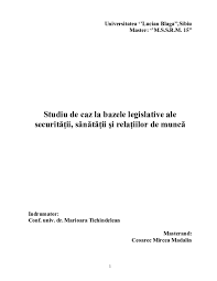 Afla in acest articol cateva lucruri esentiale despre aceasta perioada. Doc Studiu De Caz Mircea Ceoarec Academia Edu