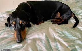 Select a continent africa europe america asia australia & oceania. Https Www Dailymail Co Uk Tvshowbiz Article 9348647 Samantha Armytage Leaves Sunrise Sam Macs Wipe Today Show Html 2021 03 28t06 01 37z Monthly 0 7 Https I Dailymail Co Uk 1s 2021 03 10 23 40318490 9348647 Image A 19 1615419290040