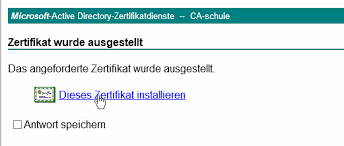 And now, every digicert certificate can be bought as a wildcard by adding sans, so you can easily manage multiple subdomains and save. Wildcard Zertifikat Uber Enterprise Ca Erstellen