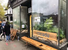 Check spelling or type a new query. With Vietnamese Coffee And A Modern Aesthetic Cicada Coffee Bar Charms Cambridge The Heights