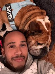 Lewis Hamilton and Roscoe Hamilton for “DOGUE” with Vogue Magazine.