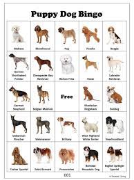View our complete dog breed profiles to get a better understanding of expected temperament, character, care and exercise requirements. Pin On Dog
