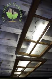 Pin By The Urban Gardener On Shop Displays Florescent Light Cover Recycled Windows Lighting Makeover