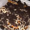 Topping ini digunakan agar olahan pisang. Https Encrypted Tbn0 Gstatic Com Images Q Tbn And9gct9vou6t50lf7dvwothtw4oarvzkvqxsa0vs2wrum8 Usqp Cau