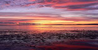 Download and use 10,000+ pink stock photos for free. Free Download Pin Pink Beach Sunset Desktop Wallpaper 1093x560 For Your Desktop Mobile Tablet Explore 39 Pink Beach Sunset Wallpaper Wallpaper Of Beautiful Sunrises