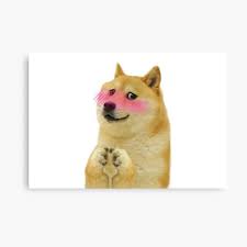 The new yos meme template (i.redd.it). Doge Meme Canvas Prints Redbubble