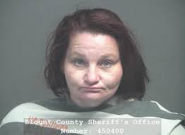 Blount county arrest records available