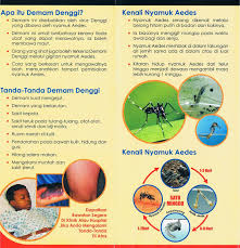 Aedes aegypti yang membawa virus yang sama. Patrol Denggi Smk Bandar Tenggara