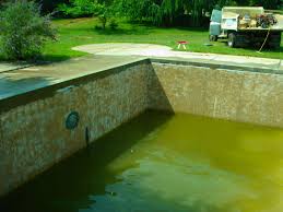 Algae can grow for a handful of reasons: The Only Guide You Need On How To Clean A Green Pool