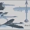 The ice and fire mod will add to the minecraft many magical creatures, among which the most powerful are dragons. Https Encrypted Tbn0 Gstatic Com Images Q Tbn And9gcssmpeo1upagmw0f Zlz6cm6pwjjskjxj7mpuwrbwfglktxrqqs Usqp Cau