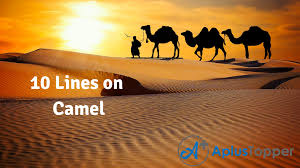Students can also read ncert solutions to get good. 10 Lines On Camel For Students And Children In English A Plus Topper