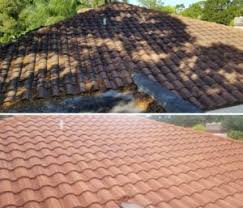 Local drain cleaners in south lyon michigan. Soft Wash Roof Cleaning Pressure Washing St Petersburg